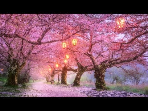 🌸 Learn Japanese Fast Subliminal - Study & Speak Fluently ↯