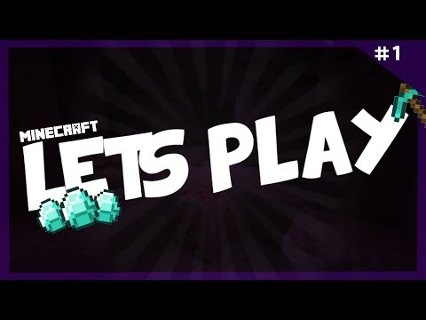 「 Zogland 」Minecraft SMP - Introduction