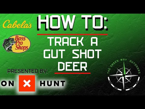 What You NEED To Know About A Gut Shot Deer - How To - Outdoor Education Series