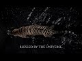 BLESSED BY THE UNIVERSE Expect A Miracle In Less Than An Hour