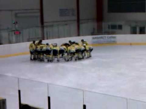 HC HP Sršni Domažlice - Ice Barons Walmüchen 5.2.2011