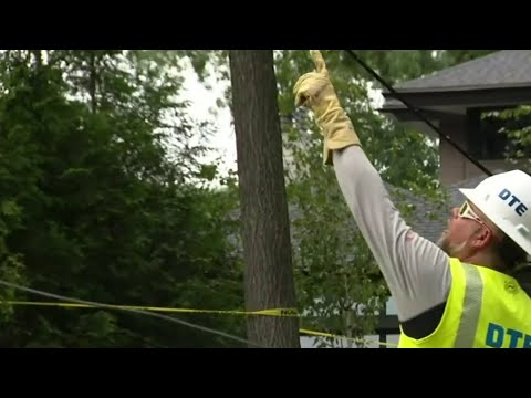 Local 4 News at 4 -- Aug. 13, 2021