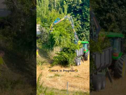 #workinprogress #farmer #treecutting #cuttingskills #crane #switzerland #machine #work #trending