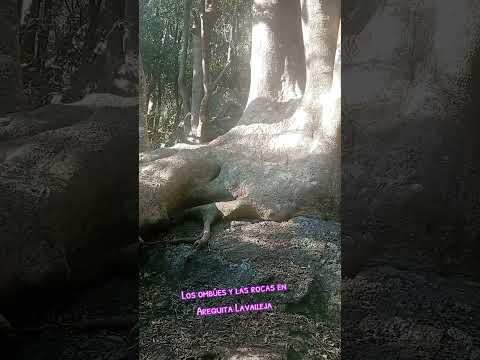 Arequita en Lavalleja Uruguay