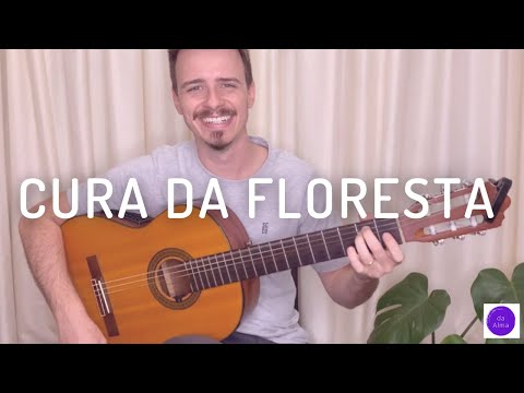 Cura da Floresta - Txai Fernando (letra e cifra) @fernandocostapereira1158