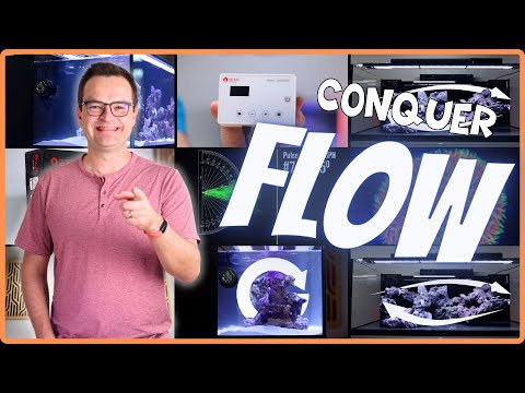 Adding Saltwater Aquarium Flow Can Be Super EASY! EP: 5