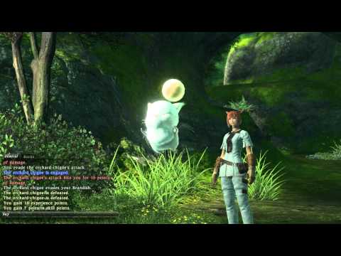 FFXIV A Wailing Welcome - Lancer R20