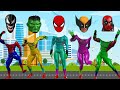 RATE DAS SUPERHELDENBILD AVENGERS CAPTAIN AMERICA SPIDER MAN IRON MAN HULK VENOM MARVEL