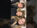 Austria Sisters