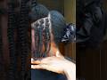 Fluffy Mini Twist On Natural Hair Protective Style Minitwist