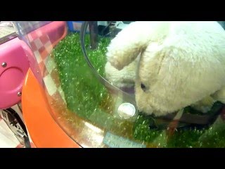 コインペットＨＤ