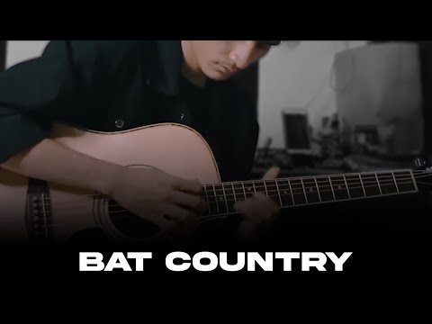Bat Country - Avenged Sevenfold (Aldiva Bintang Cover Acoustic Instrumental Karaoke)