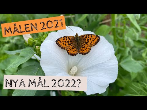 Hur gick det med MÅLEN 2021? Uppföljning och utvärdering. Har jag några mål för 2022?