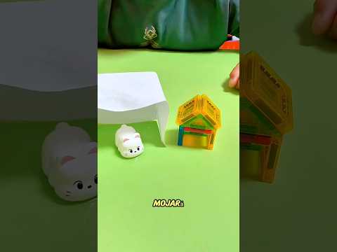 ¿Qué casa es la mejor para mi gato? 😱 | #shorts #youtubeshorts