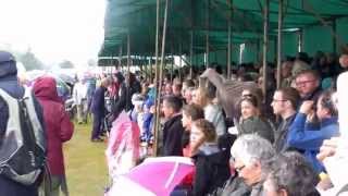 preview picture of video 'Highland Games - Aboyne 2014'