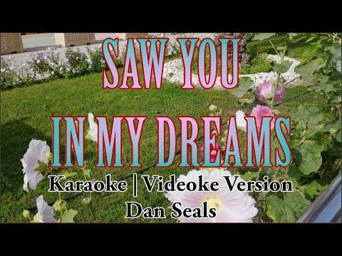 Saw You In My Dreams Karaoke | Dan Seals | HD