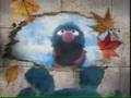 Sesame Street Monster In The Mirror Monster Version