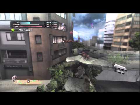 Tokyo Jungle Survival Episode 35 - Holiday Talk