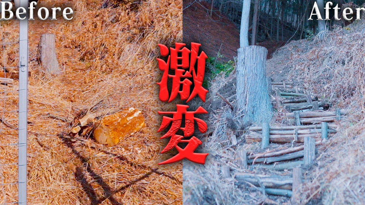 【激変】放置されていた山が大変身‼️ #724