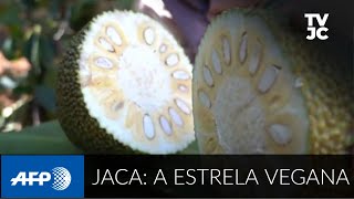 Miniatura do vídeo