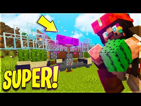 SUPER CACTUS FARM and GOOD MEAL! - Minecraft ITA Server Anima