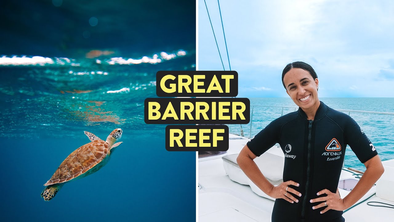 Ever wondered what it’s like to dive the Great Barrier Reef? Here are my favourite scuba diving spots in the reef!
