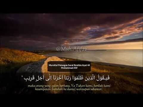 Surat Ibrahim ayat 44 - Muhammad Afif