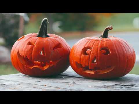 Autumn - reflect on the season of colour and contrast.