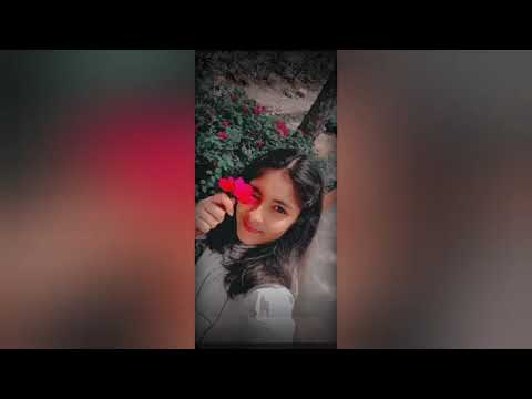 Serena Beach Resort| vlog |Kutchh Gujarat|Mandavi