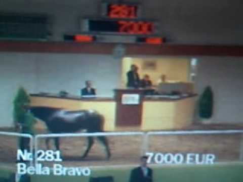 BBAG Sales 2009-09-05 Yearling Sales