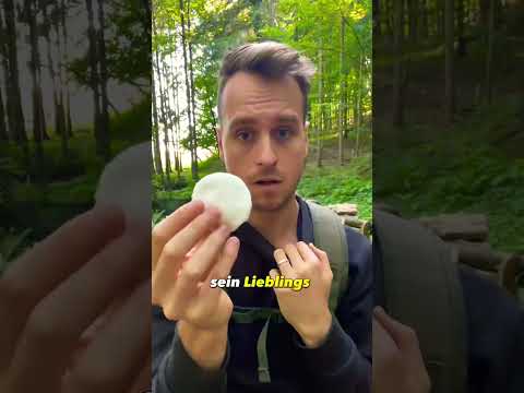 Build a survival tuna oven?🤮 #goodtoknow #survivalskills #fire #tuna #goodtoknow #cooking