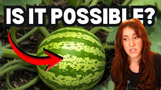 The 4 Things That Actually Control Your Garden Yield ⚠️
