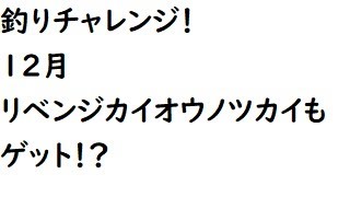 電波人間のRPGFree！,#498,釣りチャレンジ！12月,リベンジカイオウノツカイもゲット！？,　#電波人間　# 釣りチャレンジ！　 #電波人間のRPGFree