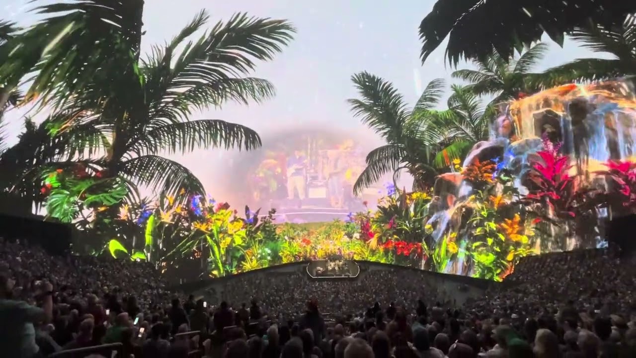 Super Bowl Concert 2025 - Vibrant Concert Crowd