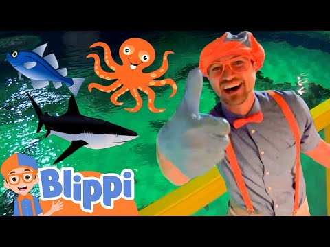 Blippi Explores a FUN Aquarium | Learning Sea Animals For Children | Educational Videos for Kids