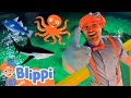 Blippi Explores A FUN Aquarium Learning Sea Animals For Children Educational Videos For Kids