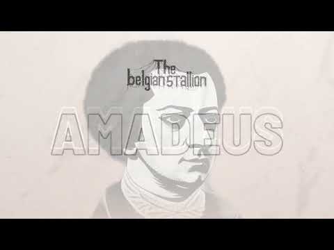 The Belgian Stallion - AMADEUS