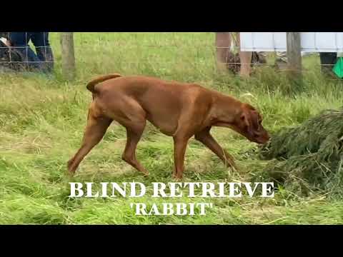 HPR Home Internationals 2023 No.5 Devaki Belassie-Page