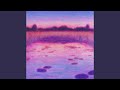Amapolas (Acústico)