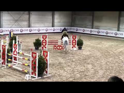 6yo approved stallion Hamilton du Chapitre winter training