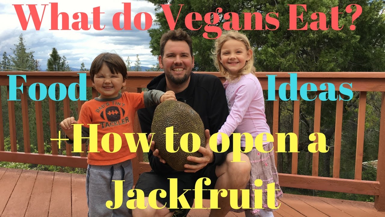 What do Vegans Eat? Food Ideas Episode #10 Jackfruit