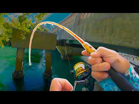 What’s Hiding Under This Tiny Bridge? | Saltwater Fishing Florida Catch and Cook