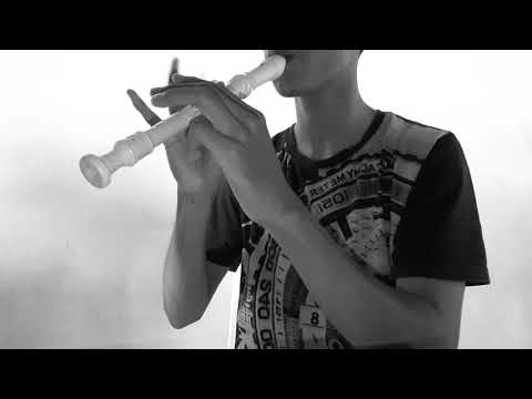 Échame la culpa Luis Fonsi ft Demi Lovato flute cover