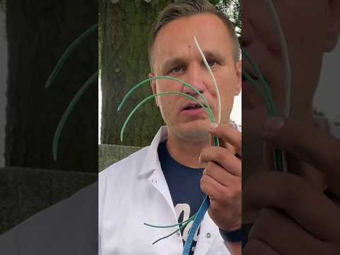 Lonty używane w pirotechnice 🧨