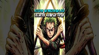 [ 원피스1177화 ] 드디어 공개되는 사황 참격, 불사신의 거인을 단칼에 반토막 내버리는 조로!