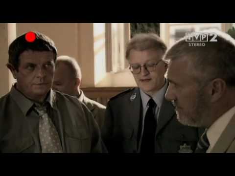 Pitbull Barszczyk apsik psik nazdrowie pol psik