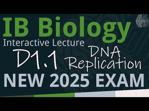 IB Biology D1.1 - DNA Replication [SL/HL] - Interactive Lecture 2025-2033