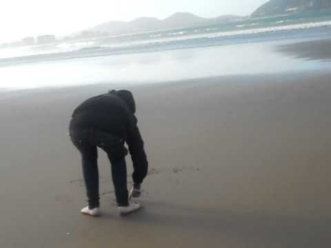 Daniela playa.wmv