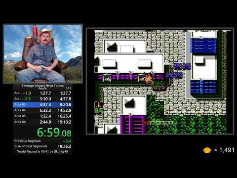 Teenage Mutant Ninja Turtles NES speedrun in 18:55 by Arcus