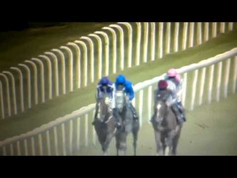 Sussex Stakes 2014 - Kingman(Narração em Português)